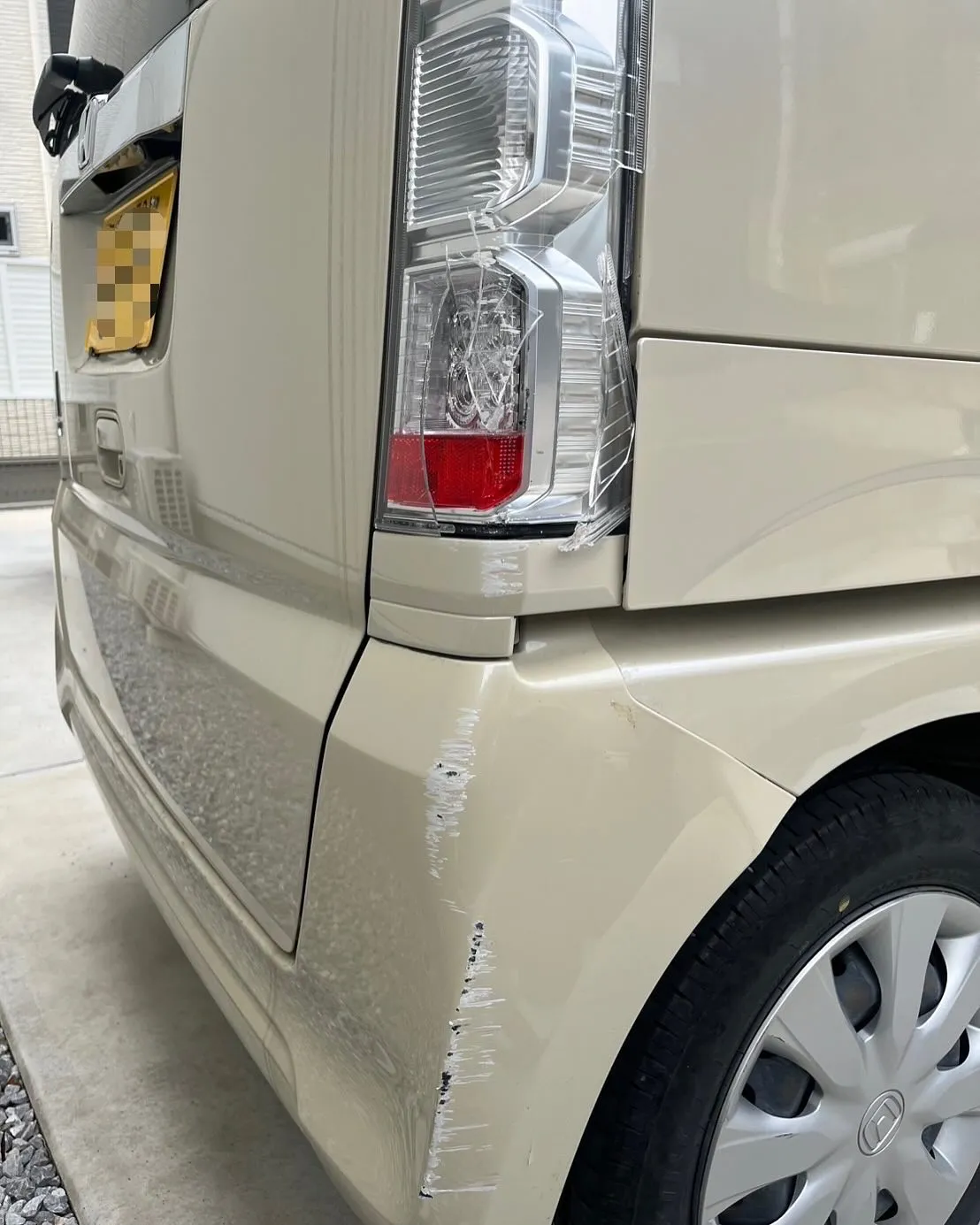 本日の作業進捗をご報告します！✨