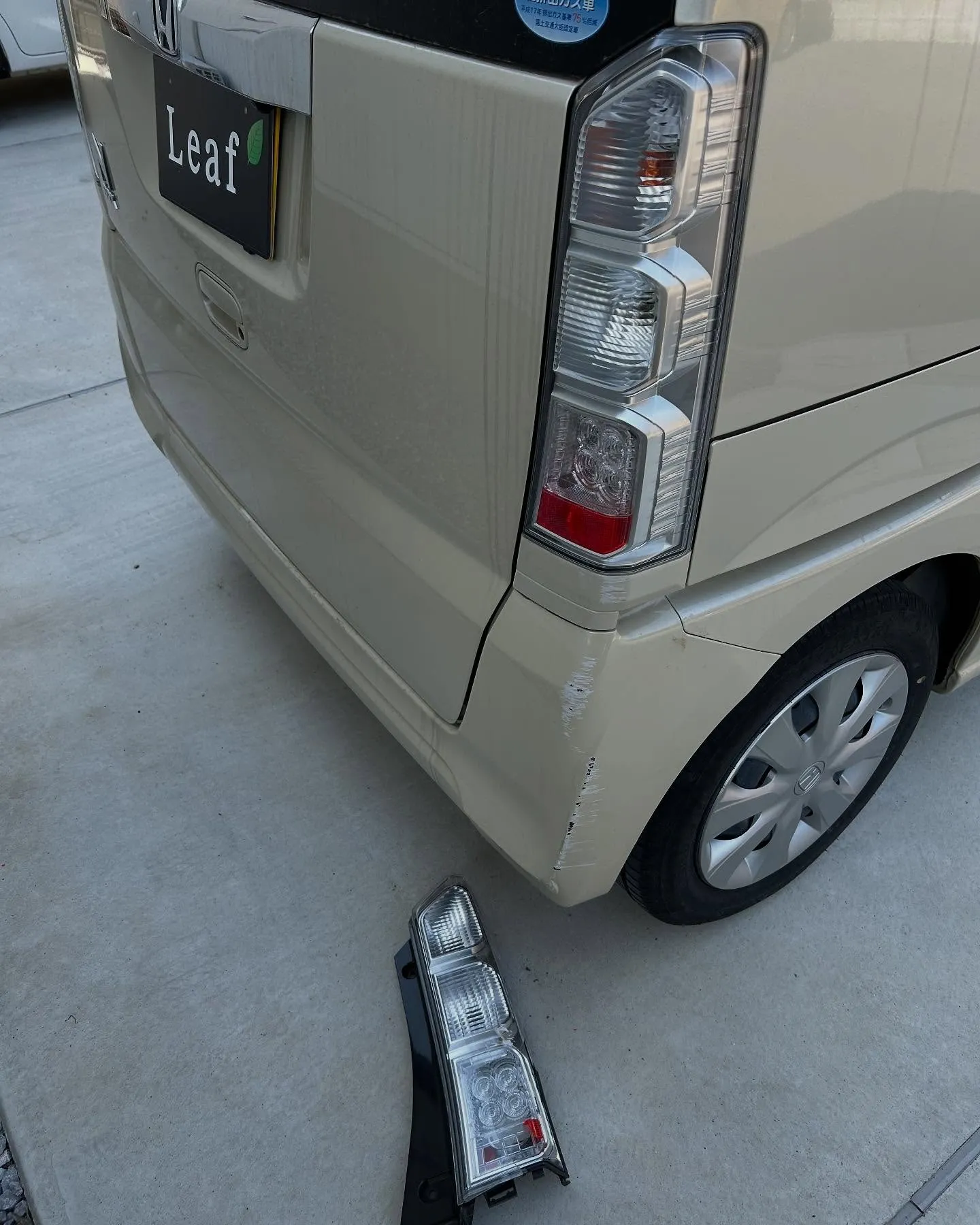 本日の作業進捗をご報告します！✨