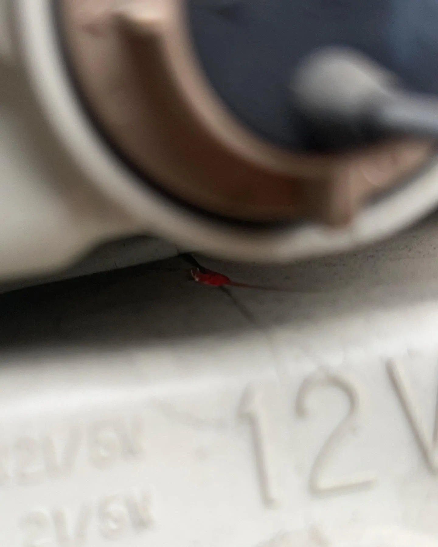 お世話になります😊