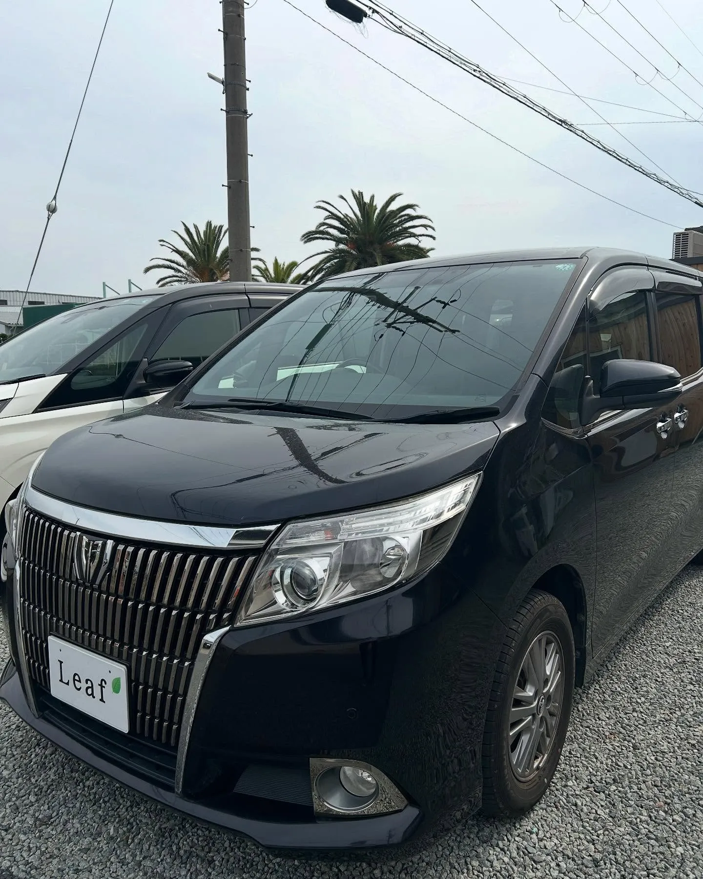 お世話になります🌟 今日も工場はフル稼働です！😊 