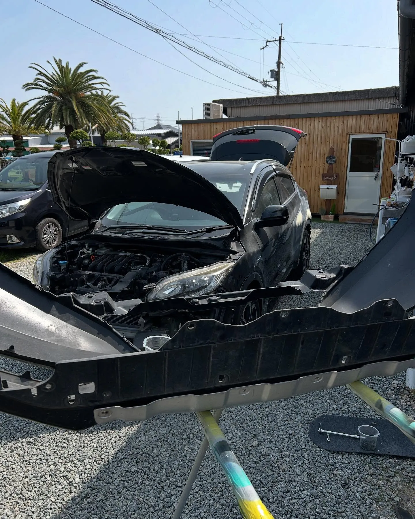 お世話になります☀️