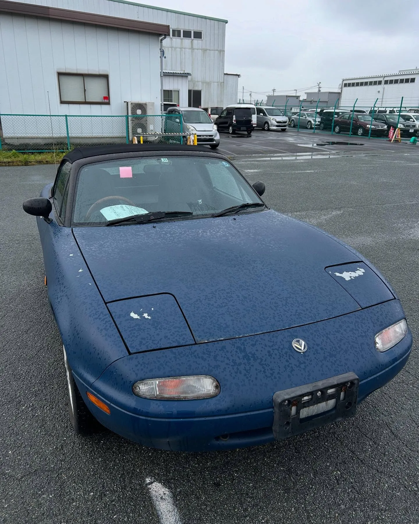 お世話になります😊