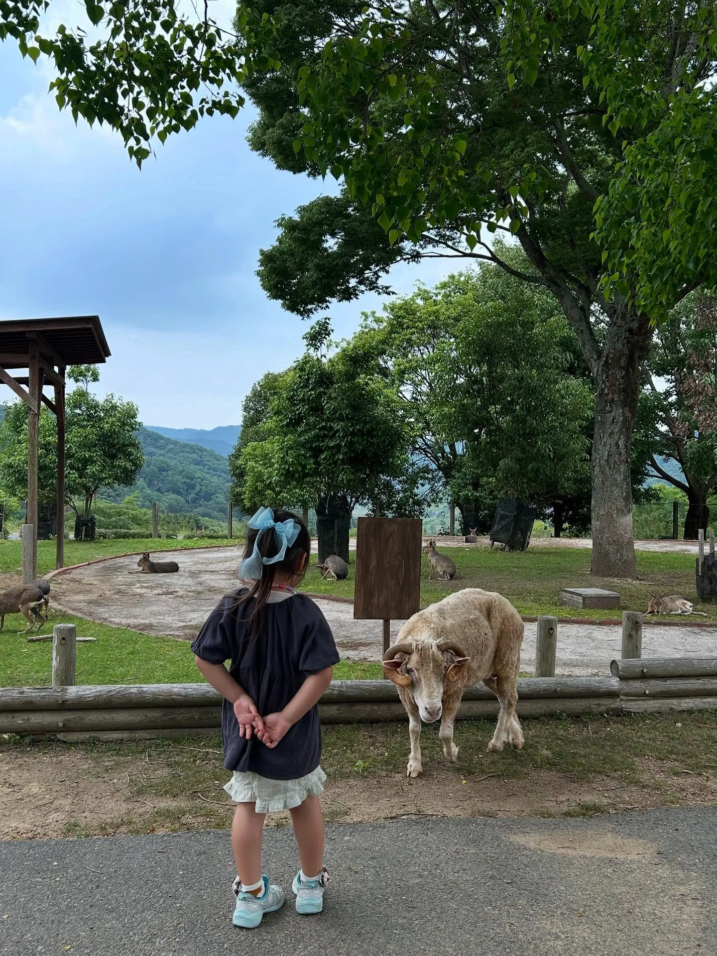 臨時休業を頂きました🙇🏻‍♂️