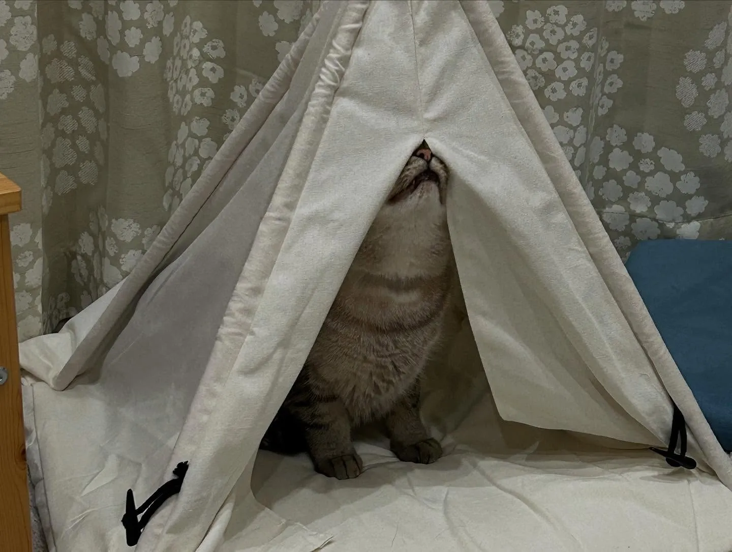 本日はお休みになります😊