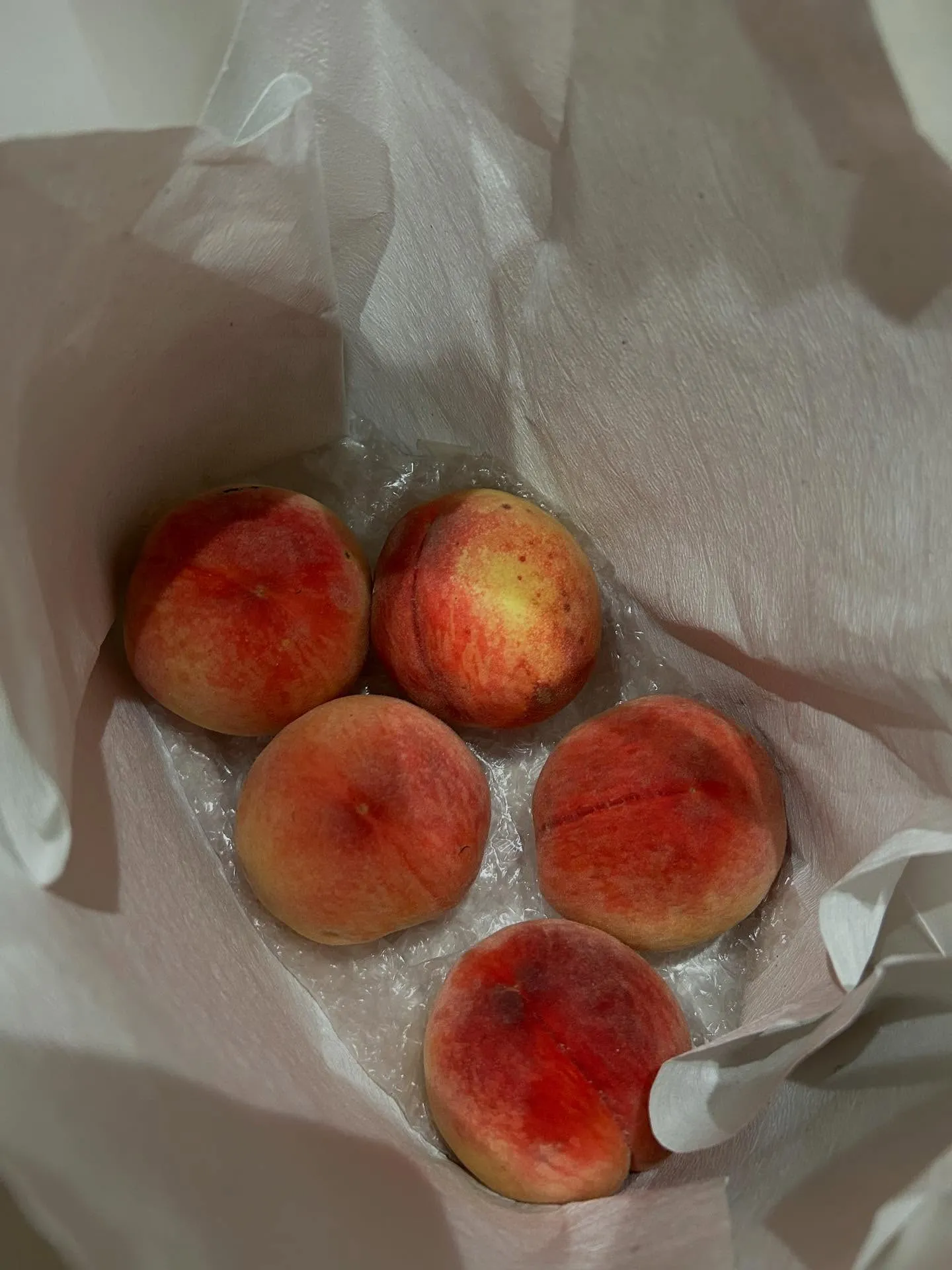 モモ頂きました🍑　