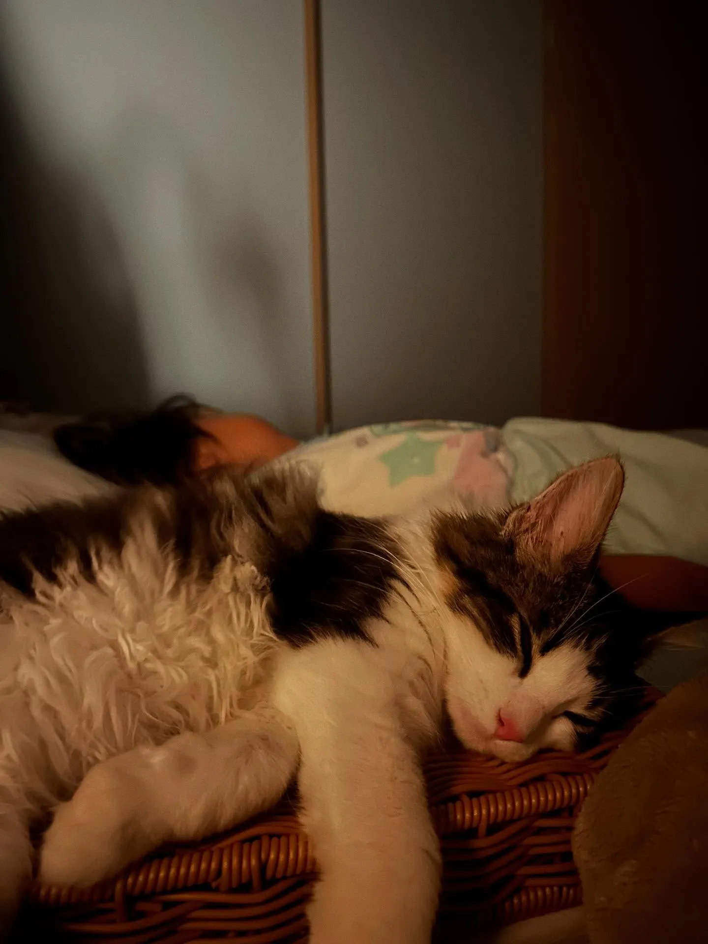 残念なお知らせです😵‍💫