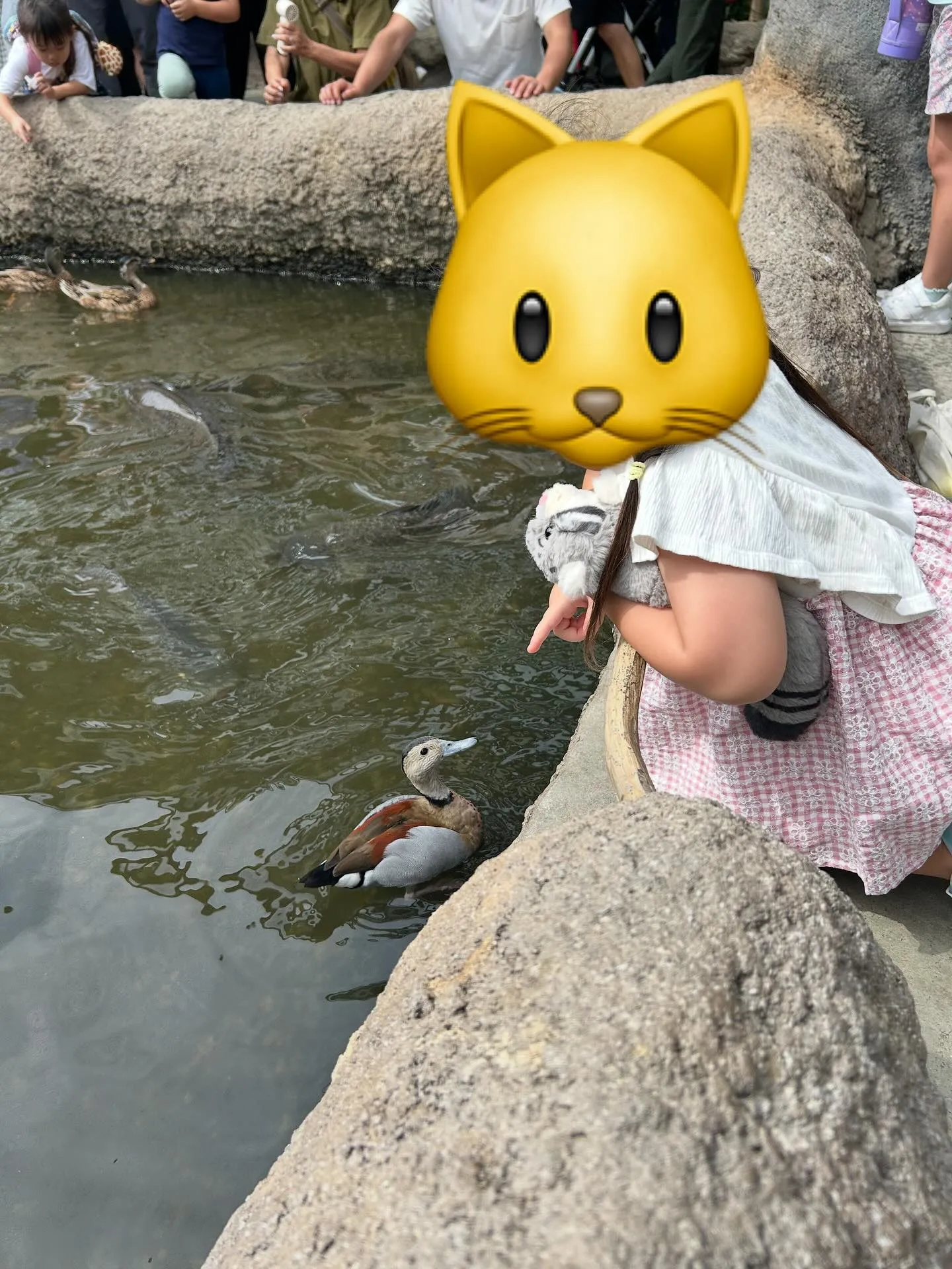 神戸どうぶつ王国😺