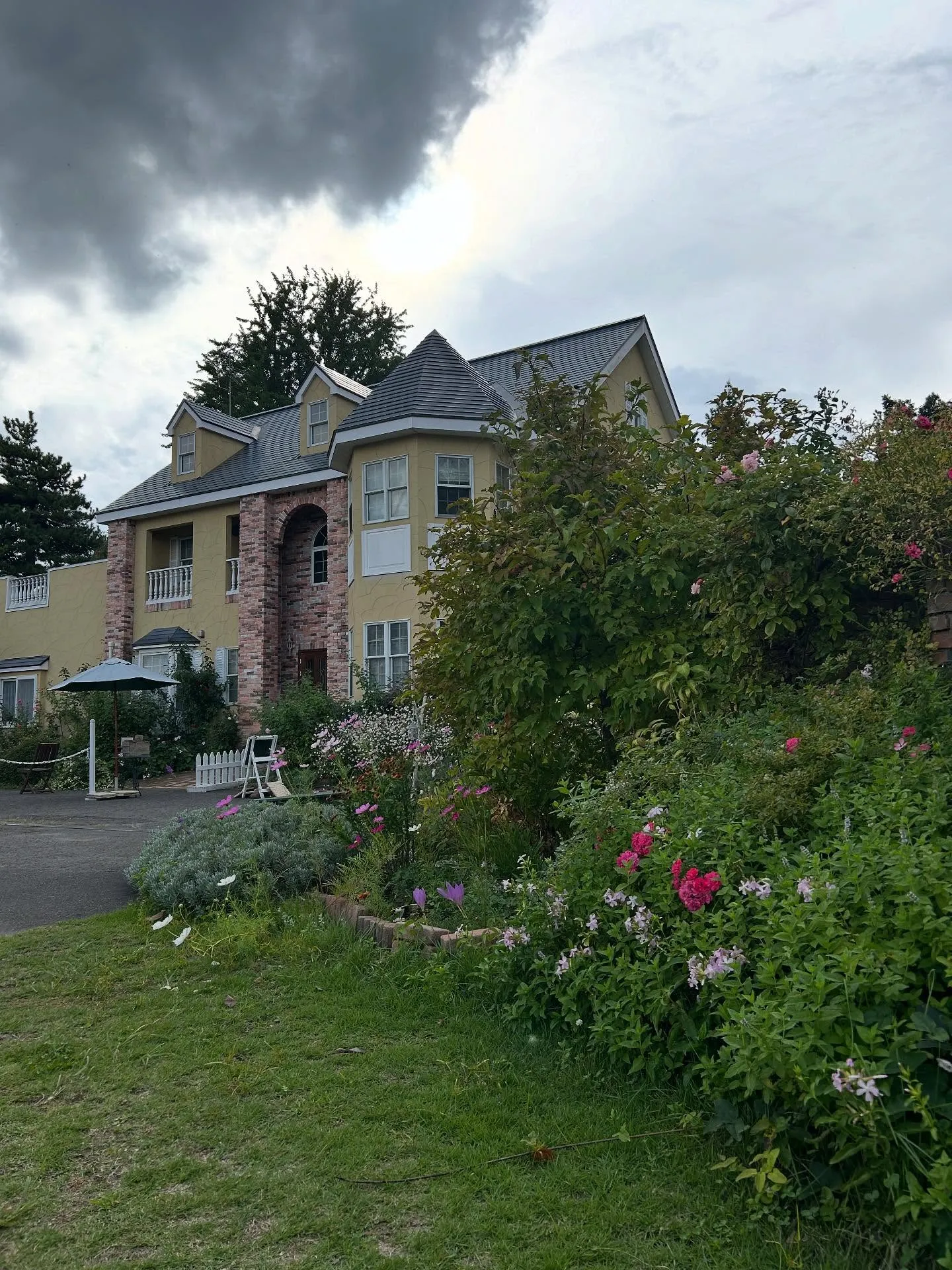 りんごもぎ体験🍎