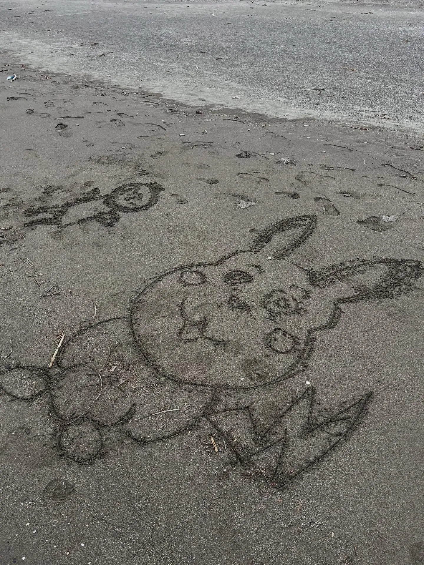 りんごもぎ体験🍎