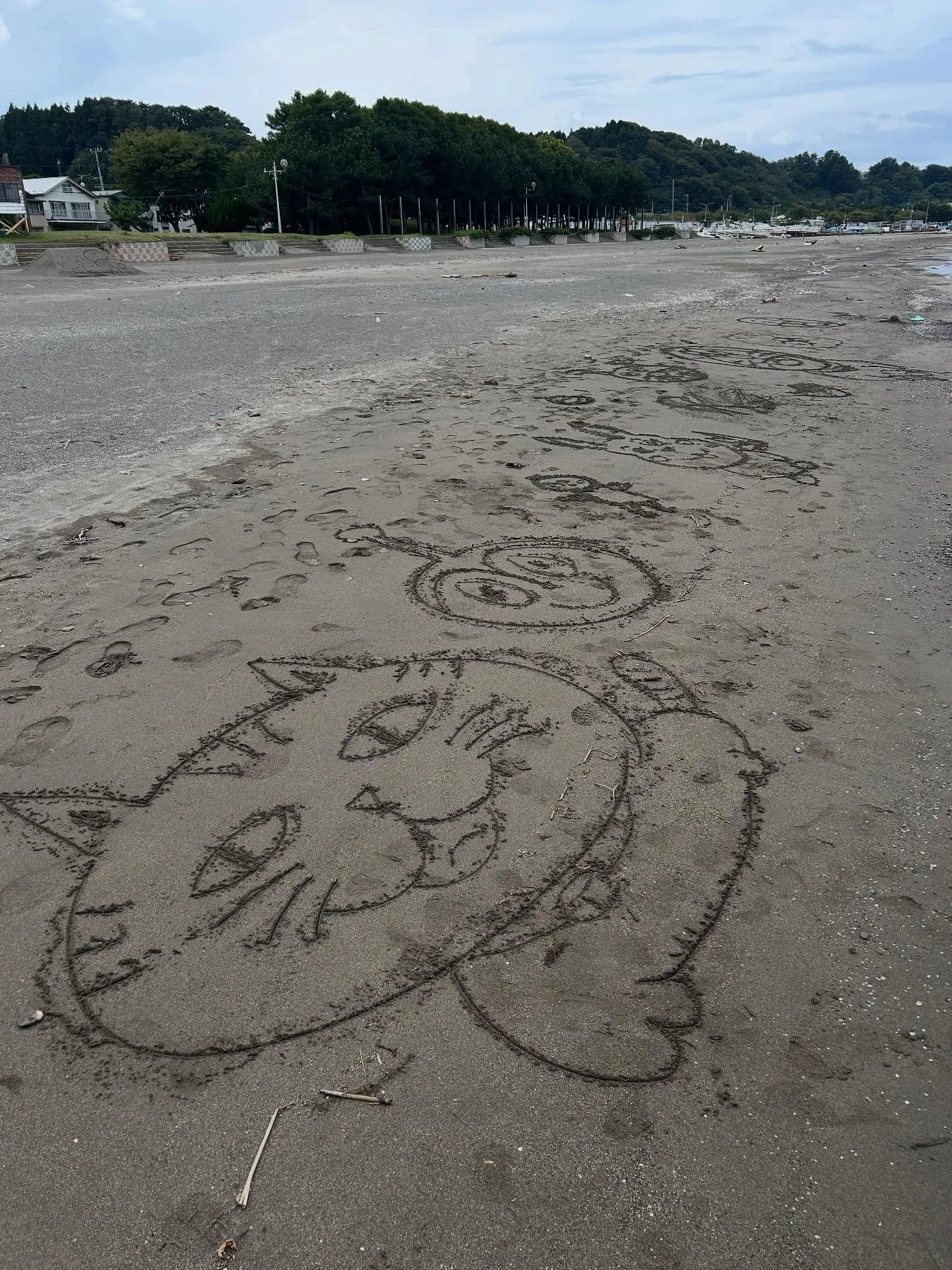 りんごもぎ体験🍎