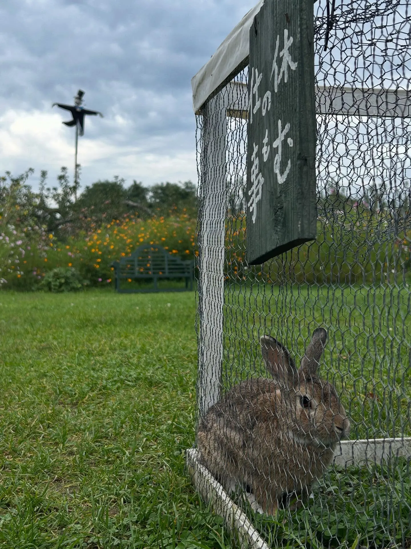 りんごもぎ体験🍎