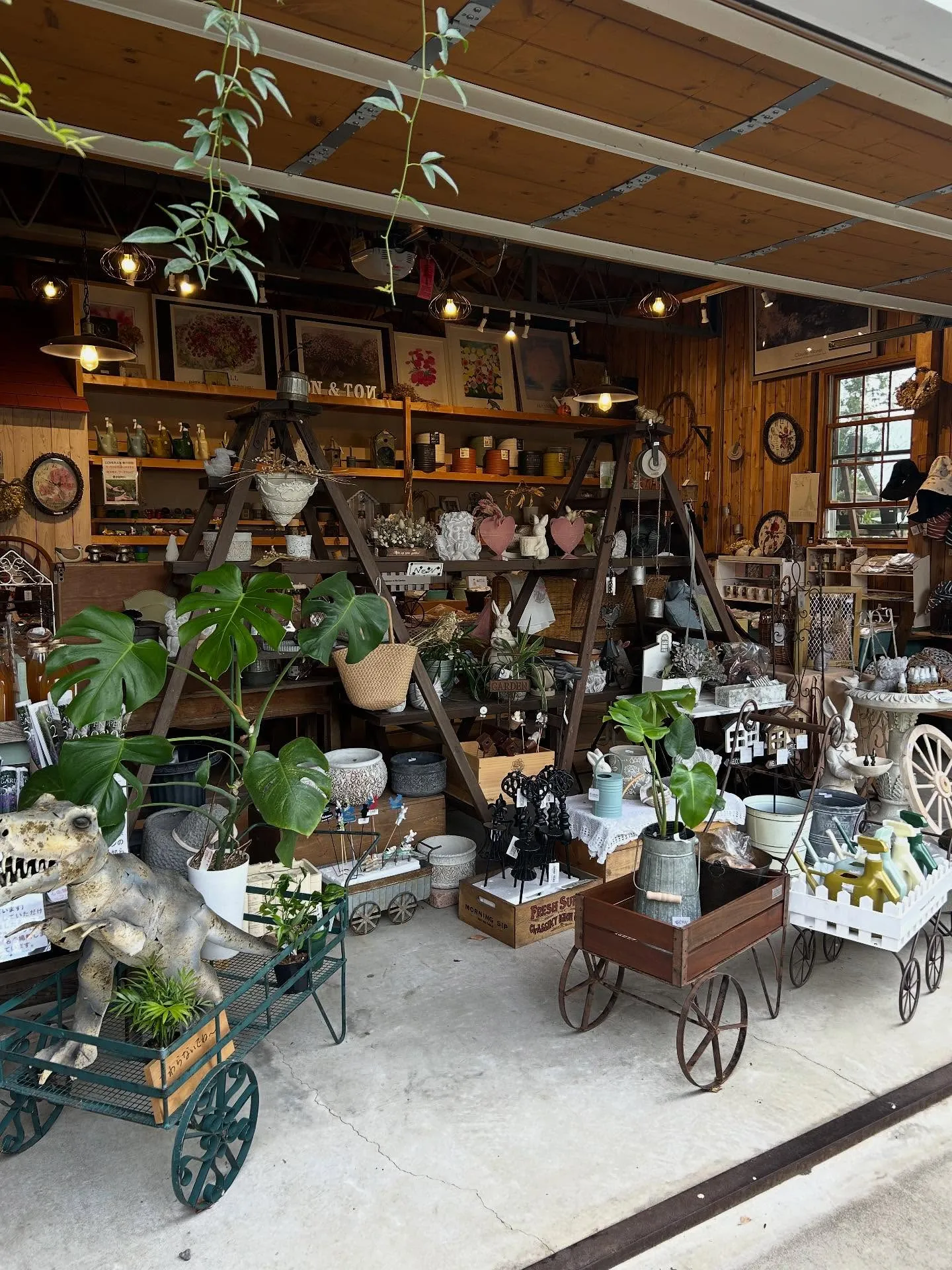 りんごもぎ体験🍎