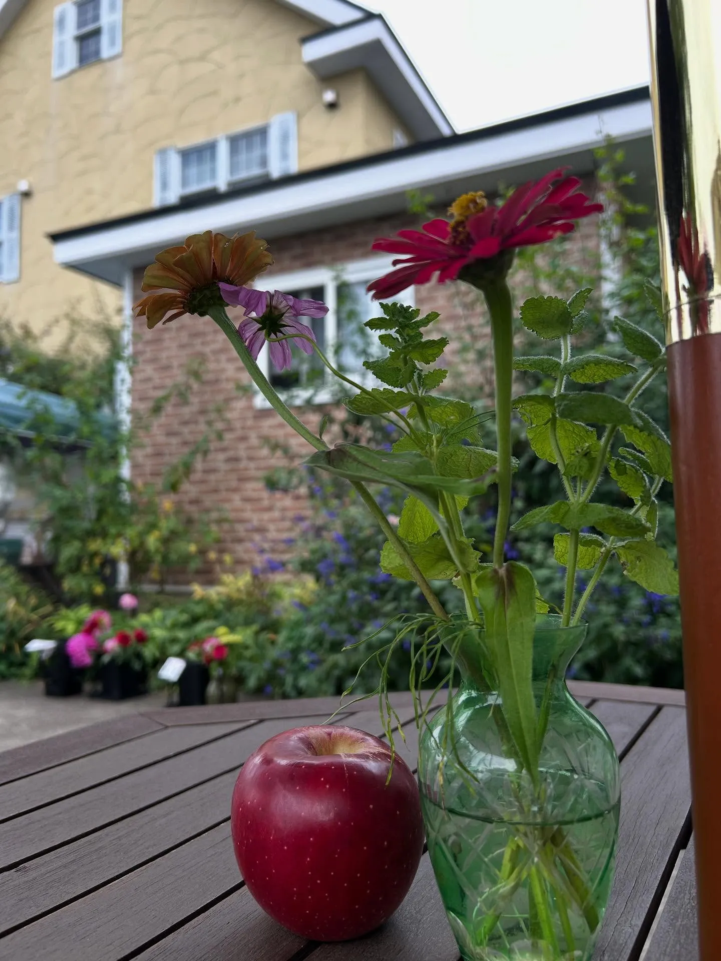 りんごもぎ体験🍎