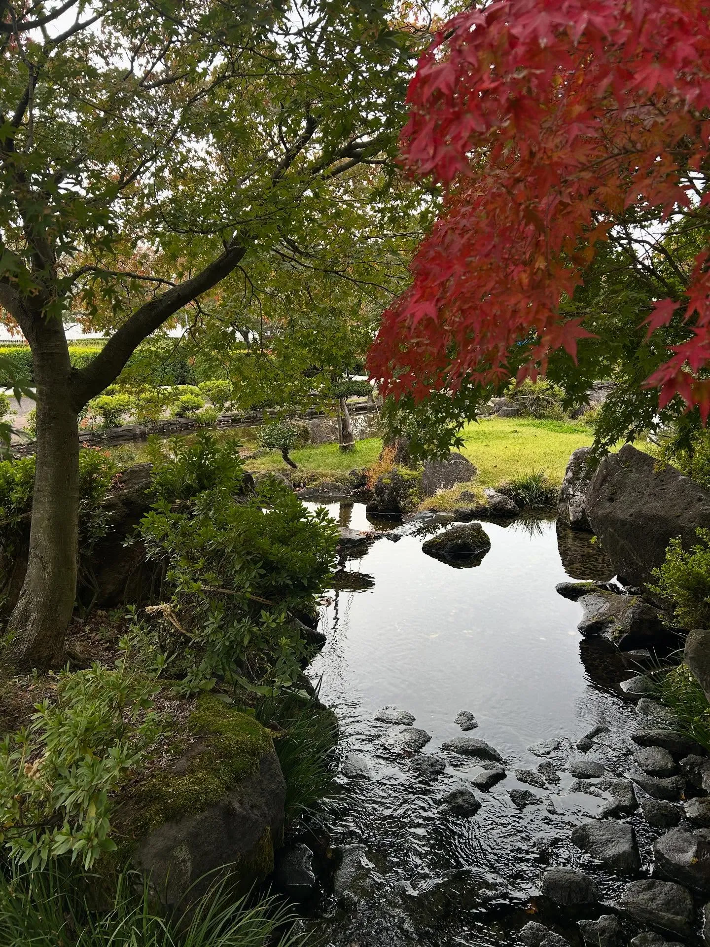 借りぐらしのアリエッティ　盛美園😊