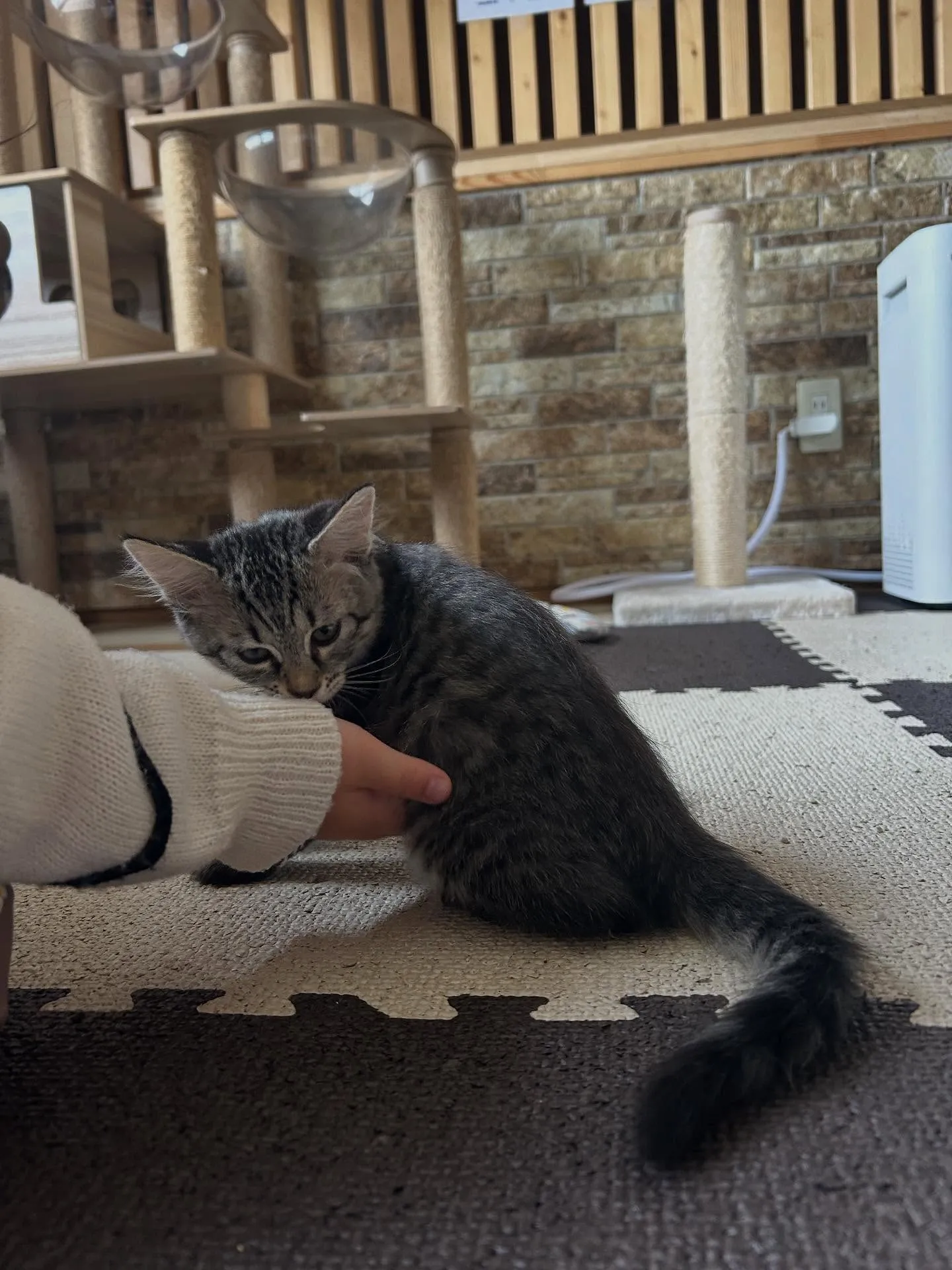 借りぐらしのアリエッティ　盛美園😊