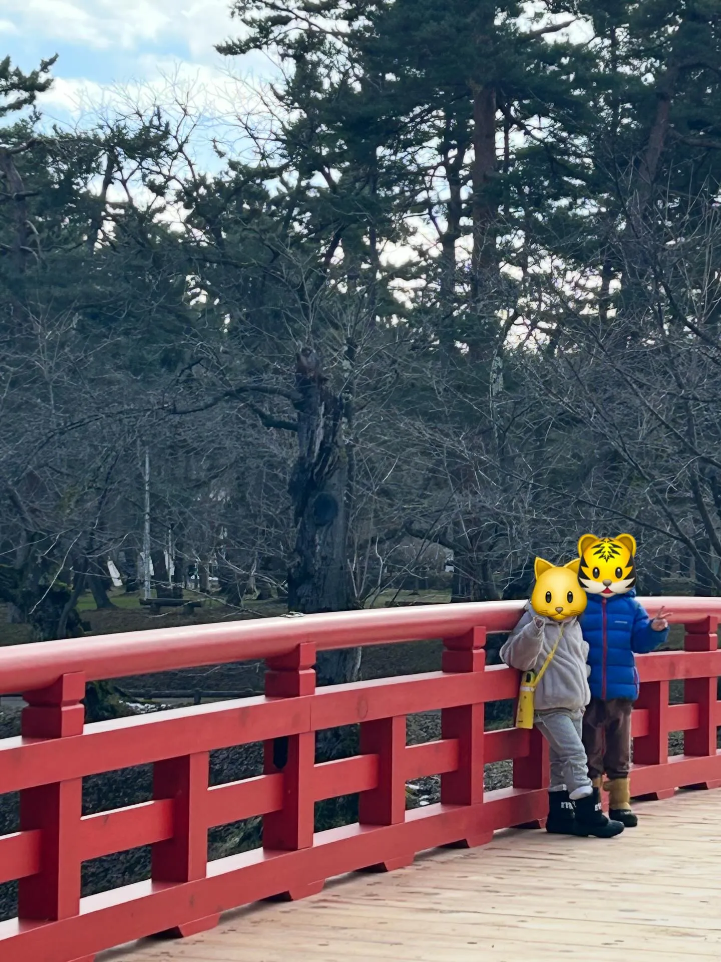 スタート🥰