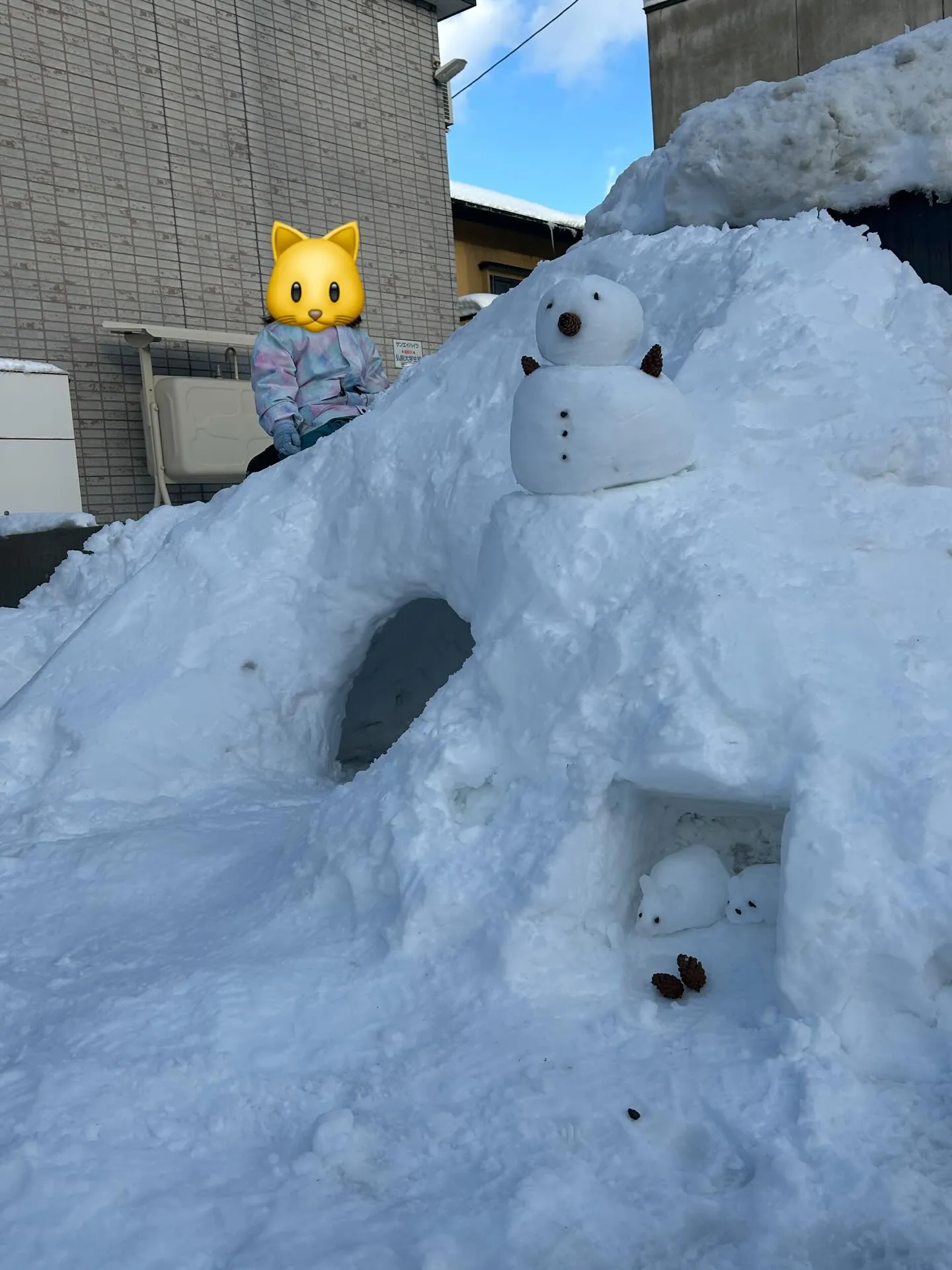 人生初の雪遊び⛄️❄️