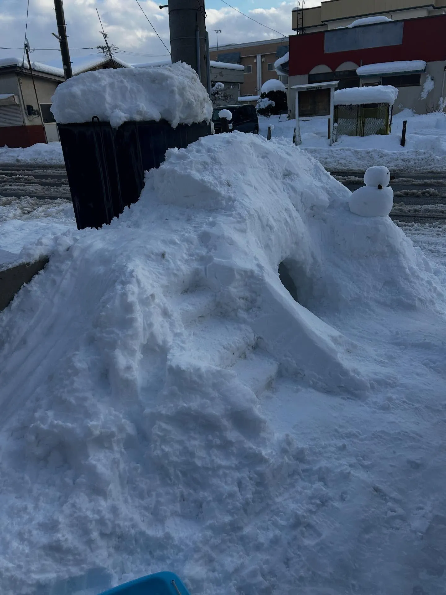 人生初の雪遊び⛄️❄️