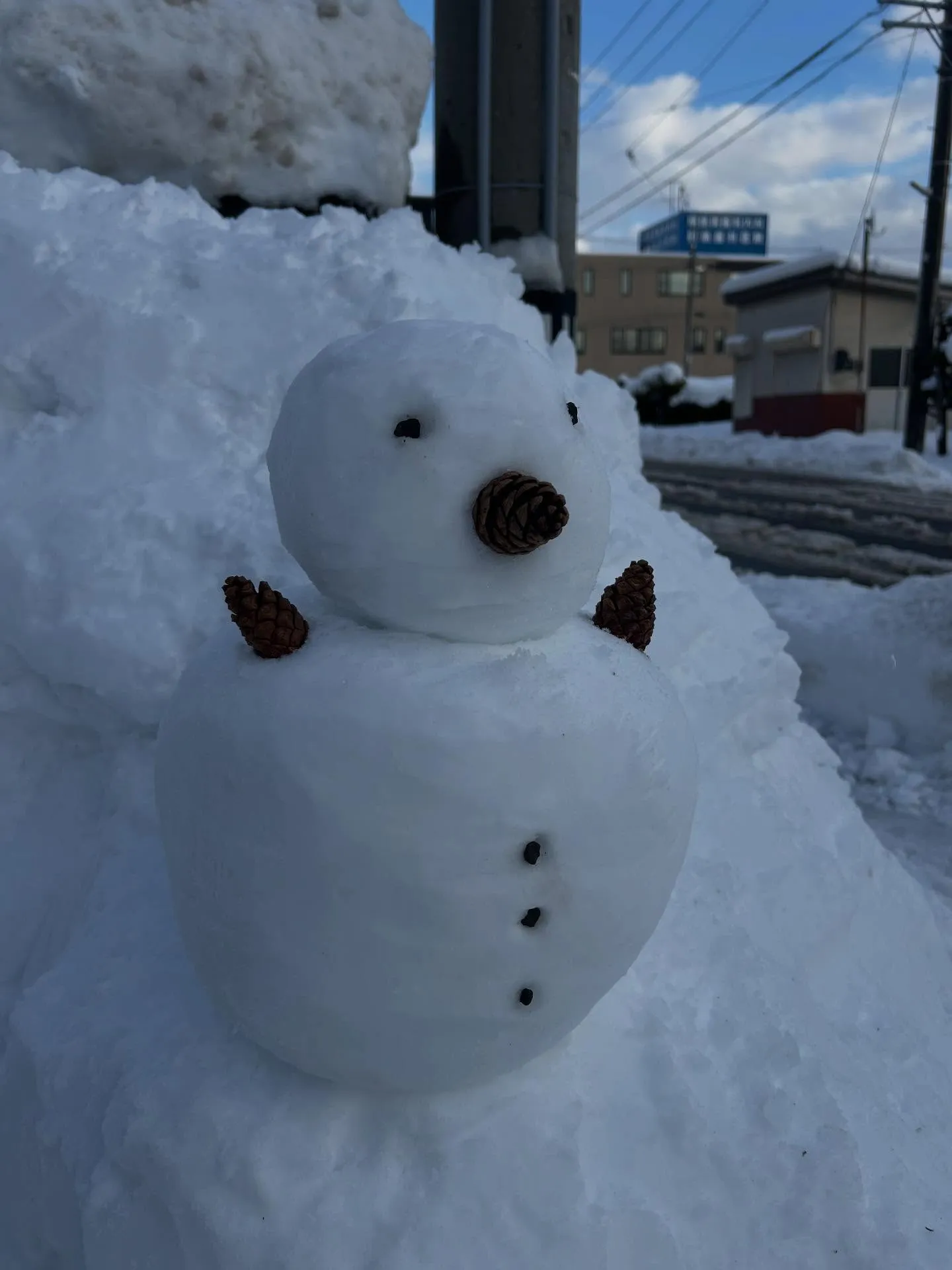 人生初の雪遊び⛄️❄️