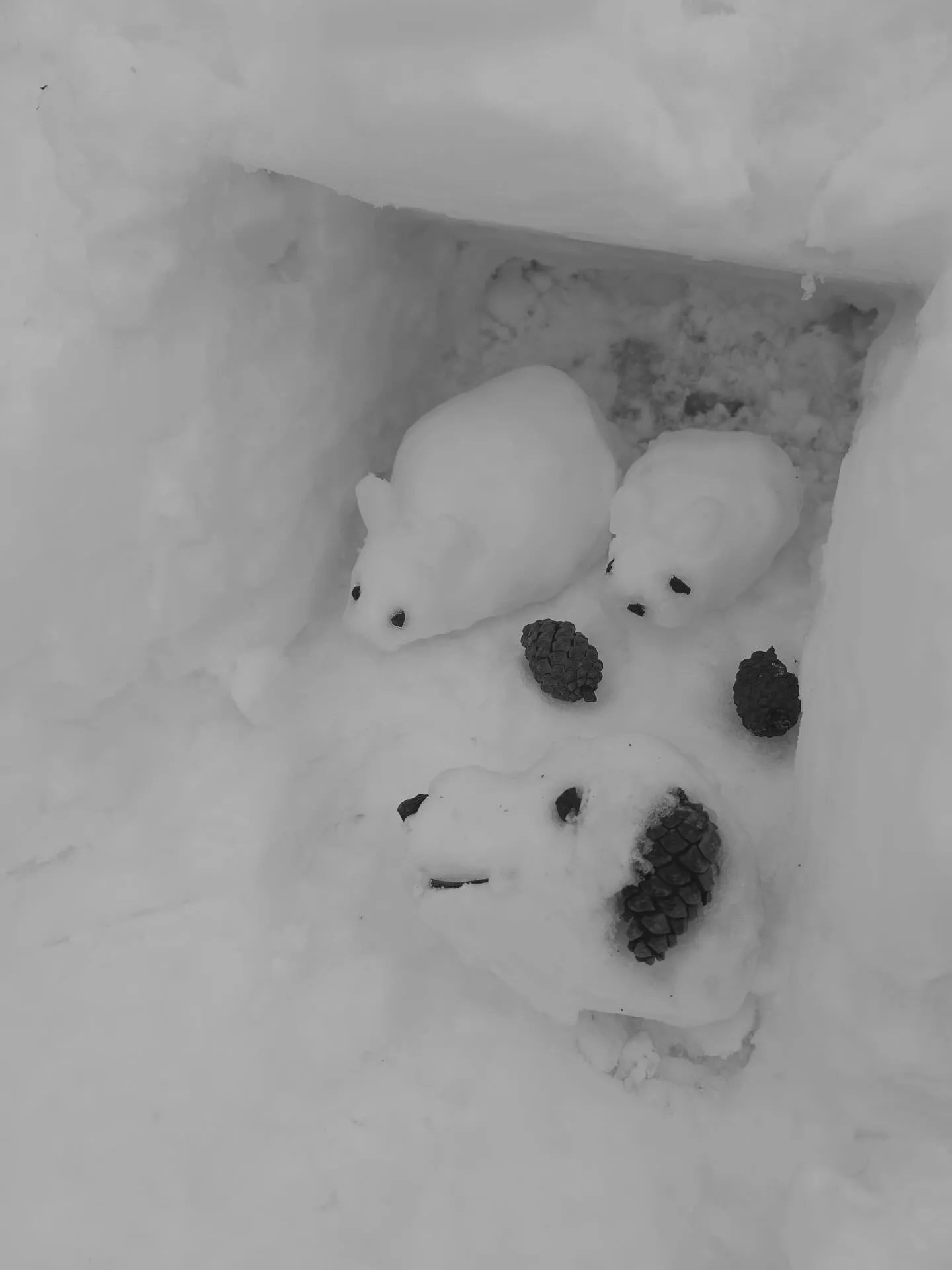 人生初の雪遊び⛄️❄️