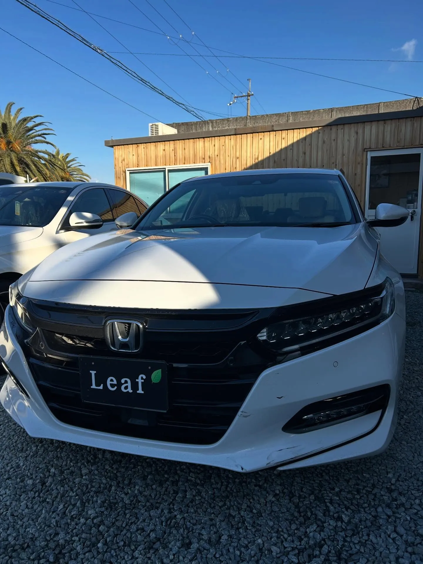 CV3 アコード　バンパー修理🛠️