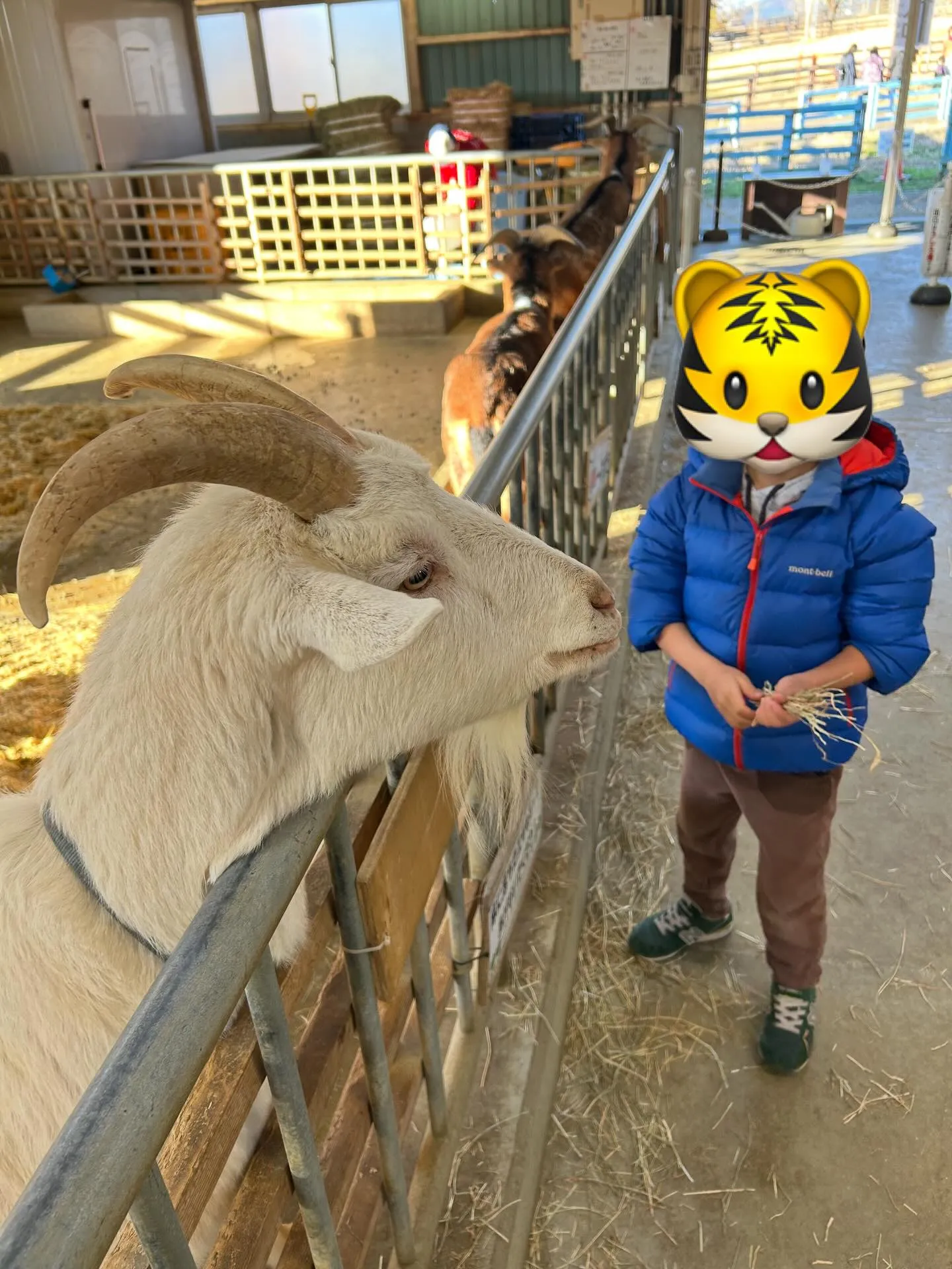 アコード&アクティ納車完了😊