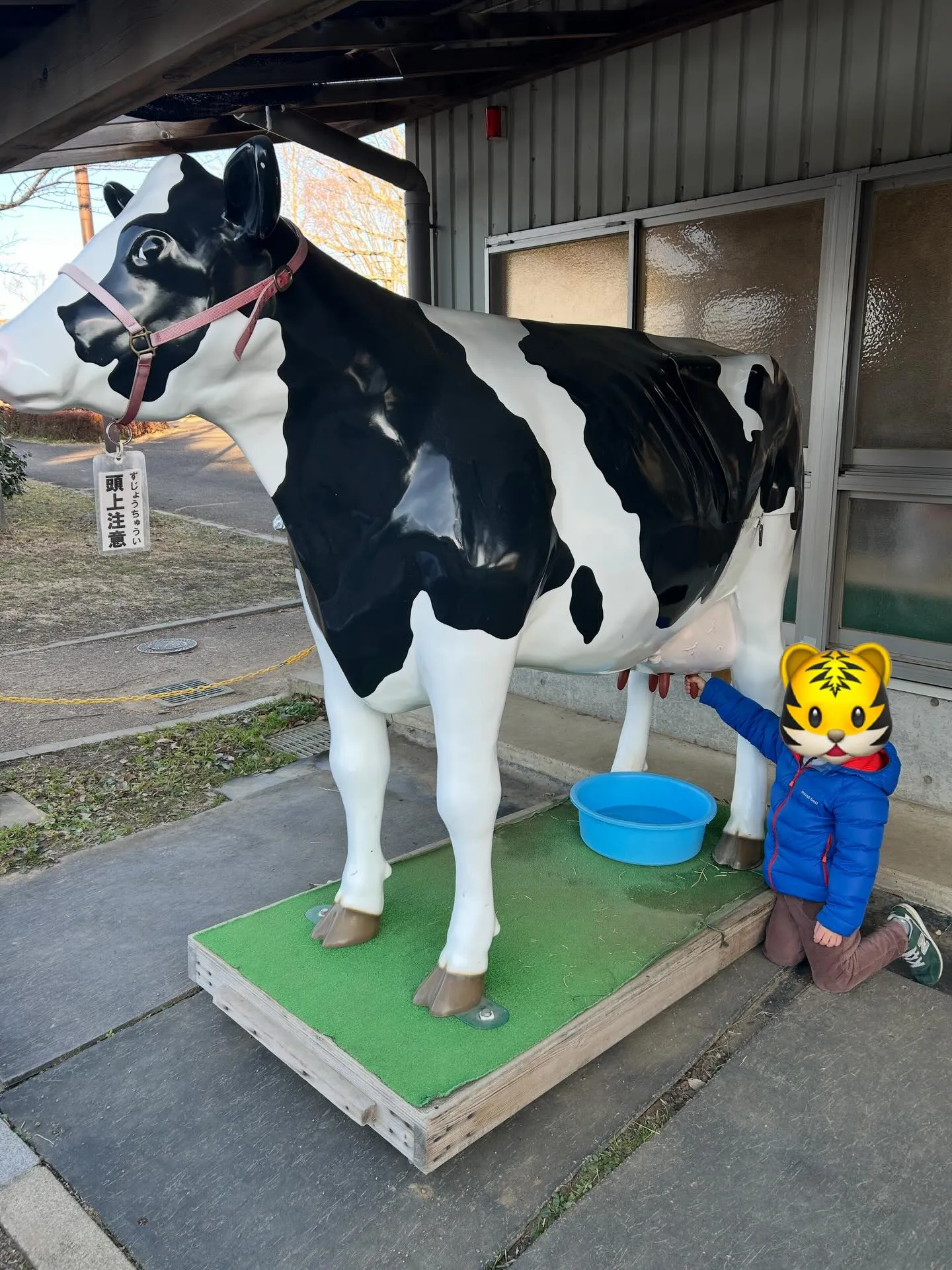 アコード&アクティ納車完了😊