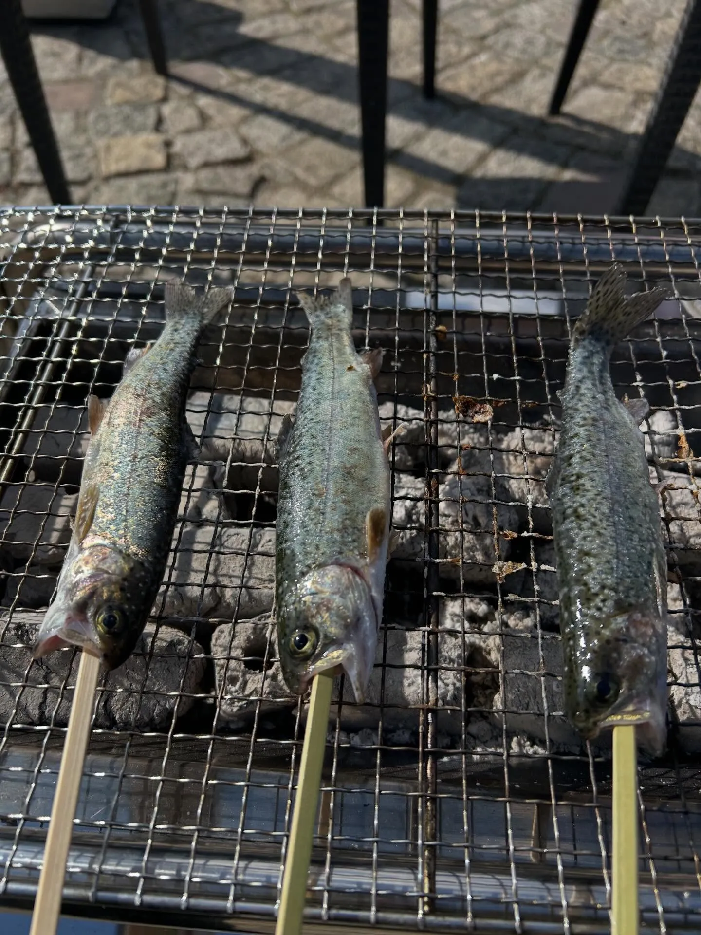 奈良に戻ってきての初めての休日🦌