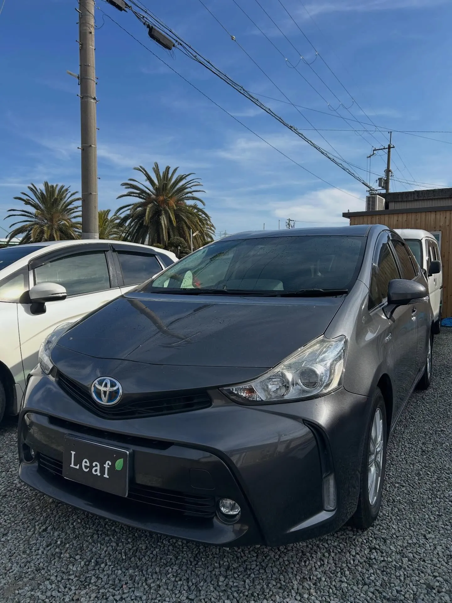 プリウスa バンパー修理🛠️