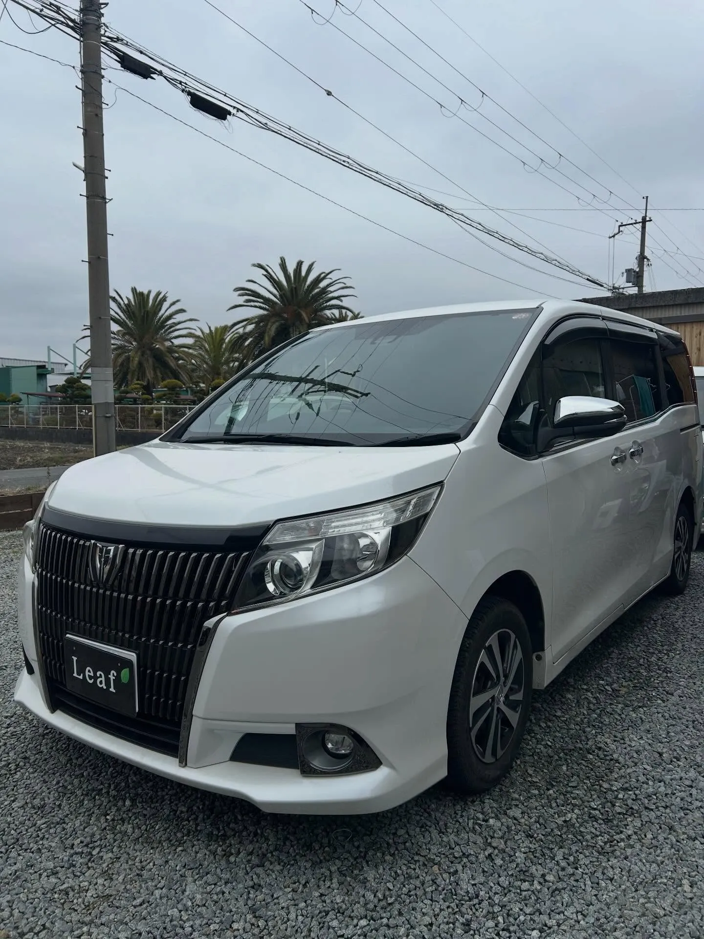 トヨタ　エスクワァイア&ヴィッツ入庫🛠️