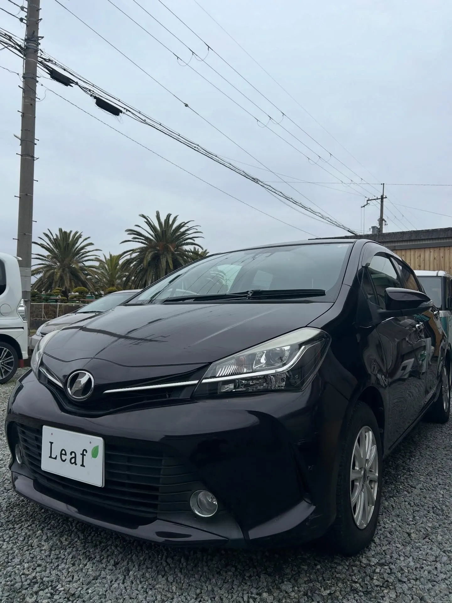 トヨタ　エスクワァイア&ヴィッツ入庫🛠️