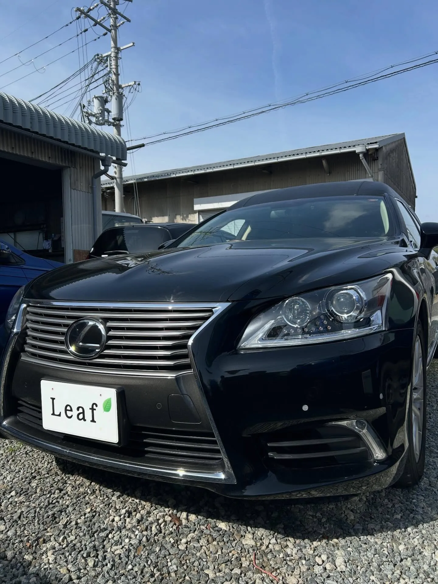 レクサス バンパー修理🛠️