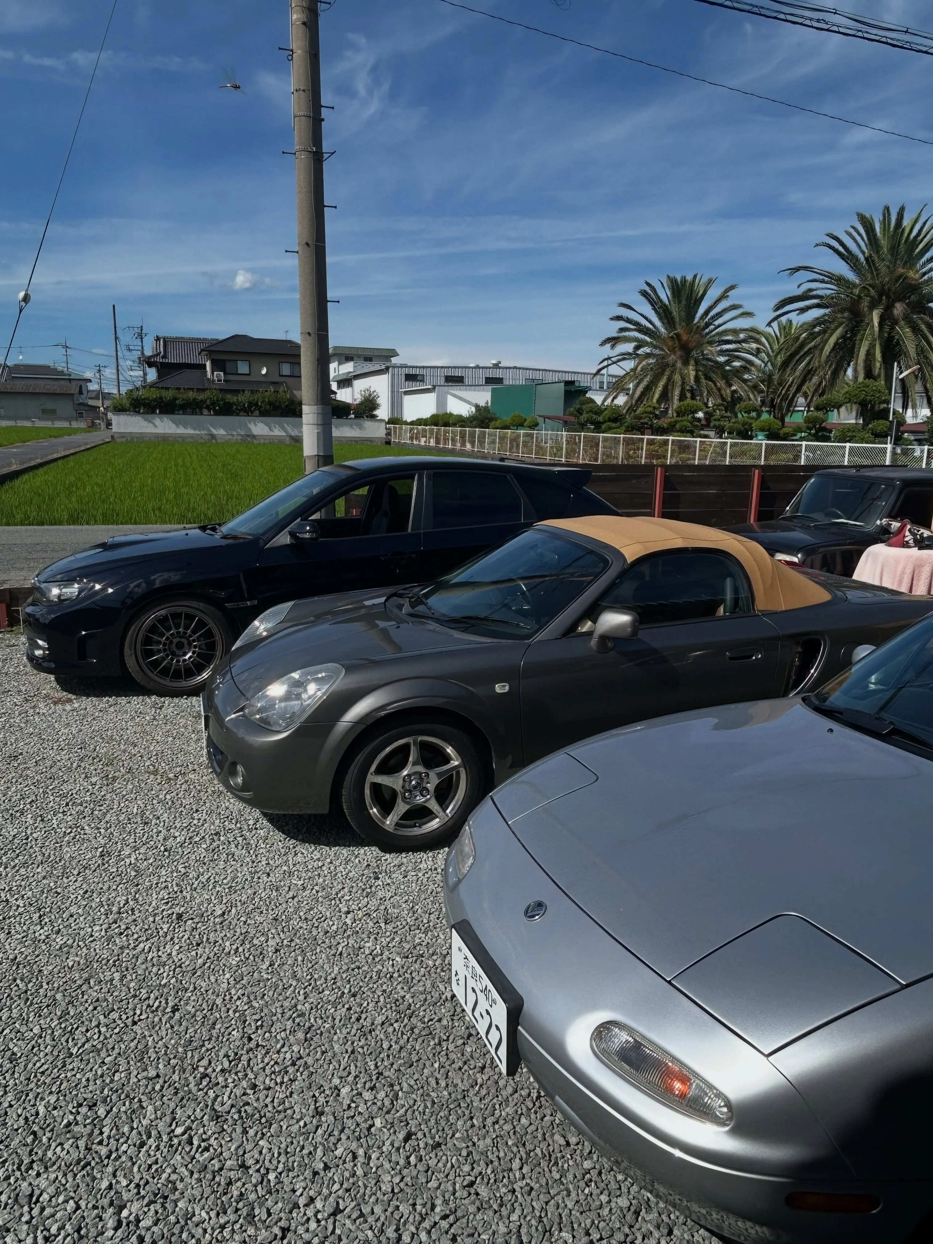 新しい仲間が加わりました🚗✨
