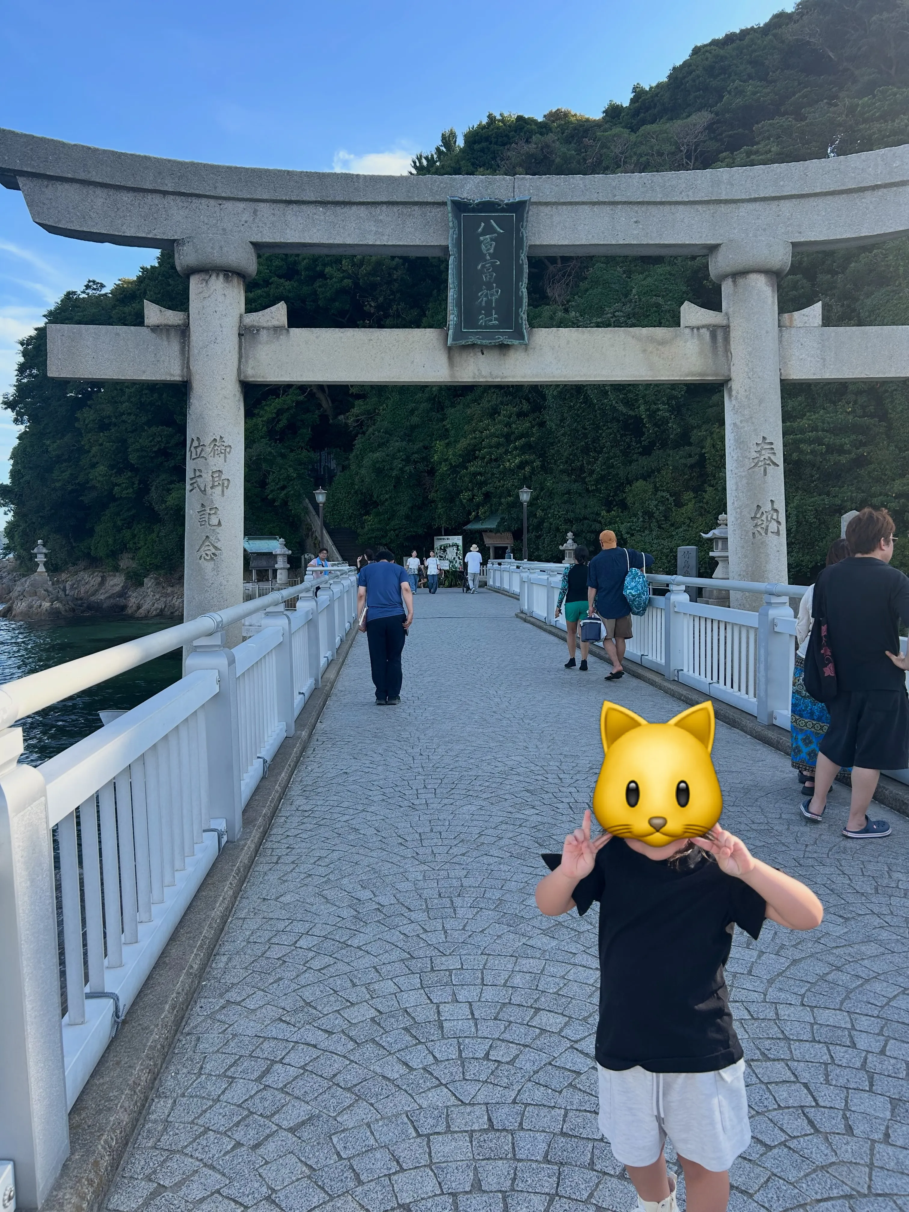 お待たせしました🎉