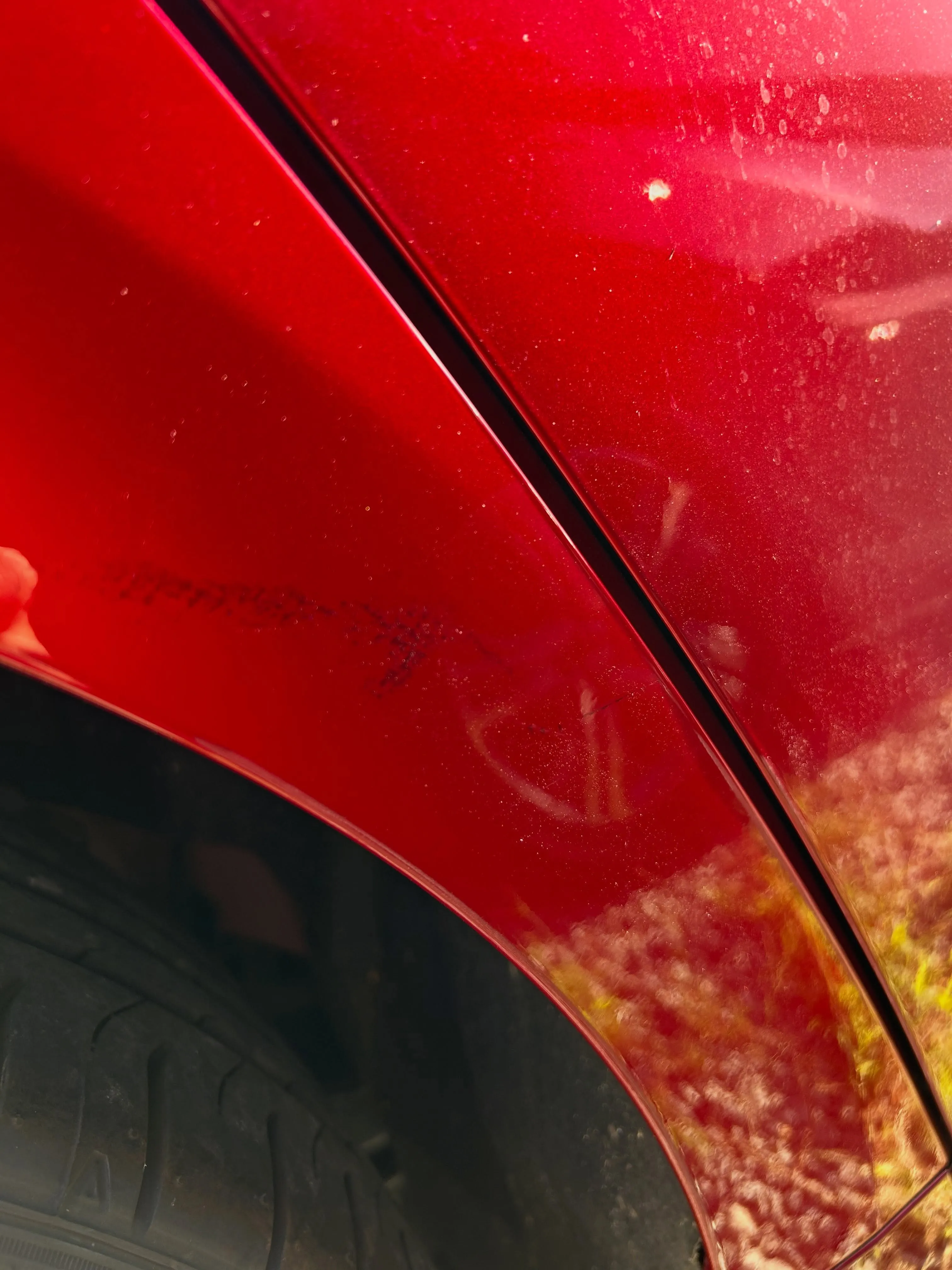 カローラスポーツをお預かりしました🚗✨