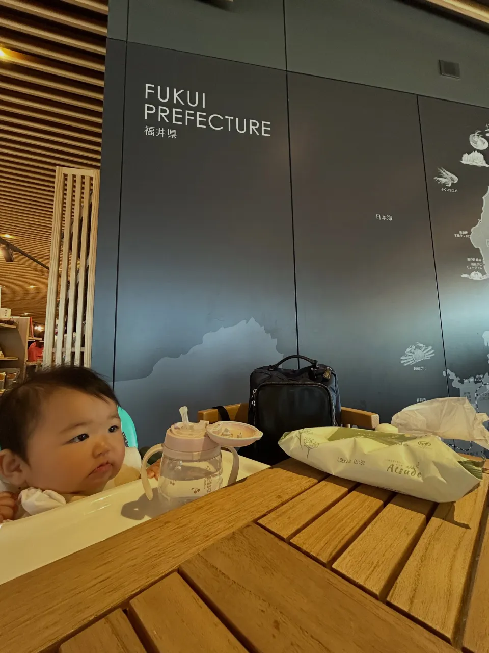 福井と石川で素敵な旅を🌟