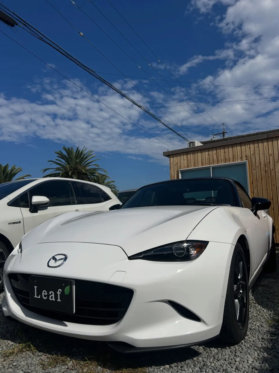 NDロードスター車検預かり🛻